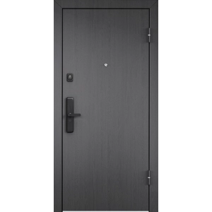 Металлическая дверь Нео