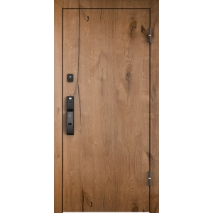 Металлическая дверь Нео