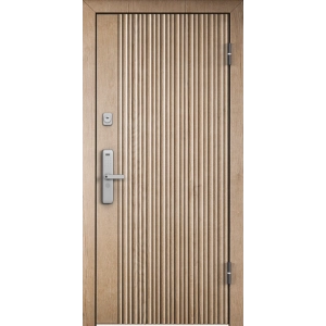 Металлическая дверь Гамма