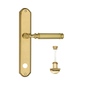 Дверная ручка Venezia MOSCA WC-2 на планке PL02 полированная латунь