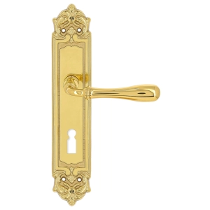Дверная ручка Extreza CARRERA (Каррера) 321 на планке PL02 KEY полированная латунь F01