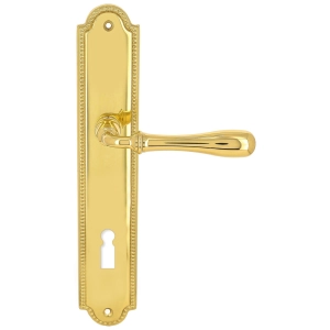 Дверная ручка Extreza CARRERA (Каррера) 321 на планке PL03 KEY полированная латунь F01