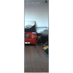 Дверь Gabitex Mirro SILVER