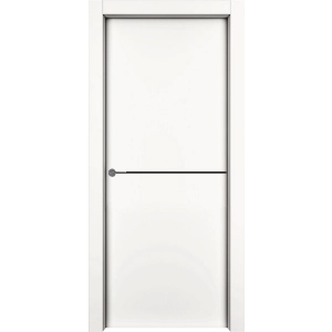 Дверь 1001 М1 с молдингом