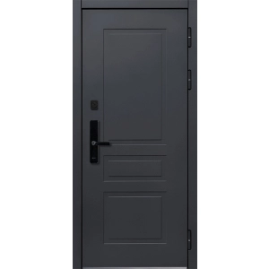 Входная дверь Lord cyber