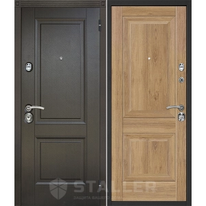 Входная дверь Сталлер Нова (Дуб черный/Салинас светлый)